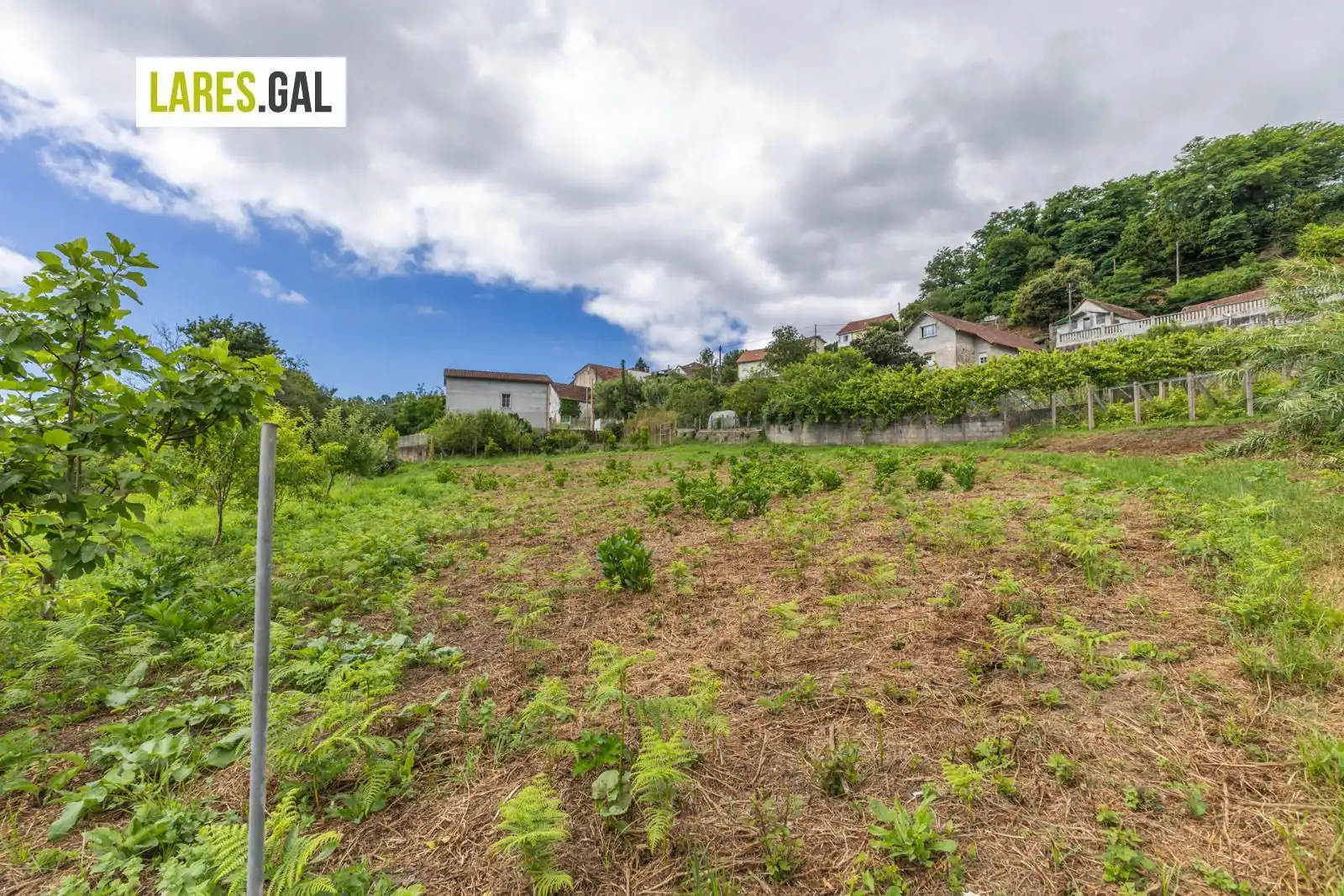 Terrain rustique à vendre à Lugar de Pozonegro, imagen 11