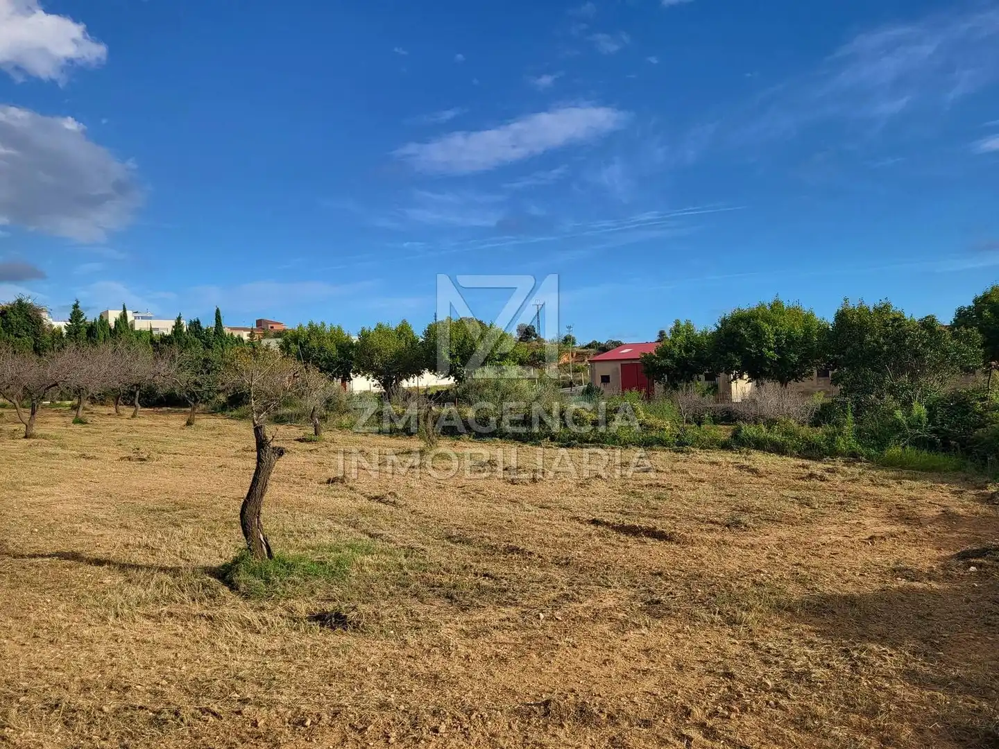 Terreno rustico in vendita a Traiguera, imagen 15