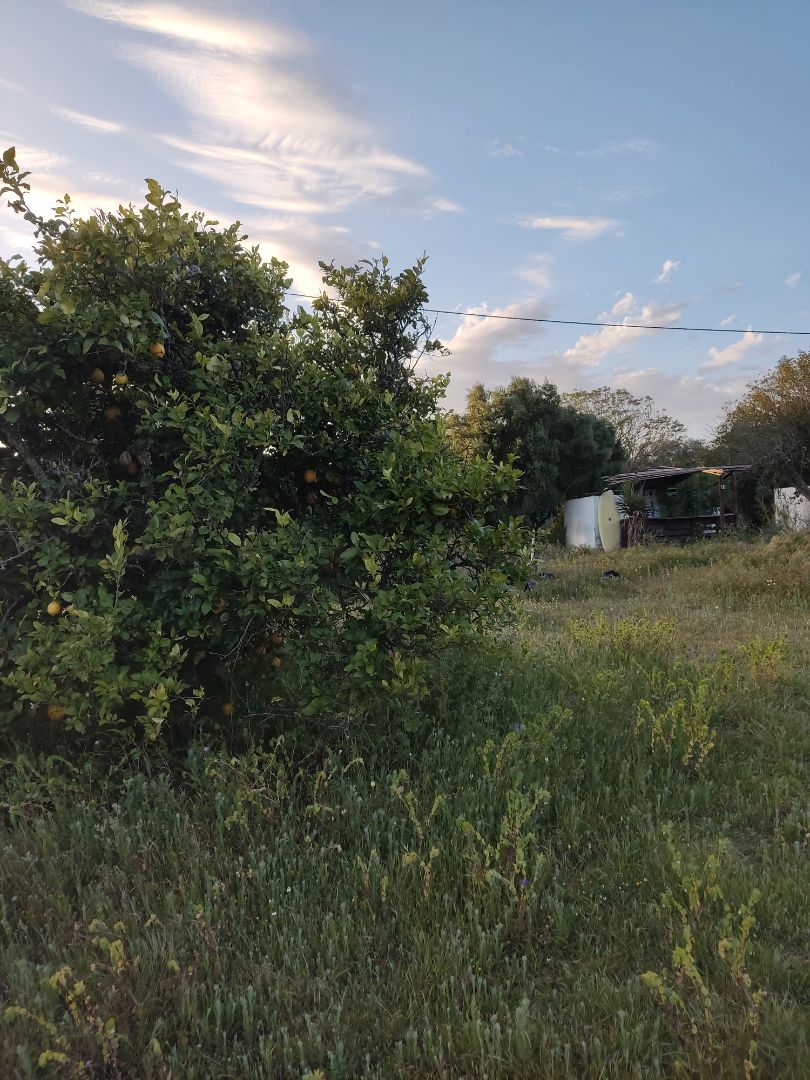 Finca rústica de alquiler en Vejer de la Frontera con Jardín privado, Terraza y Piscina