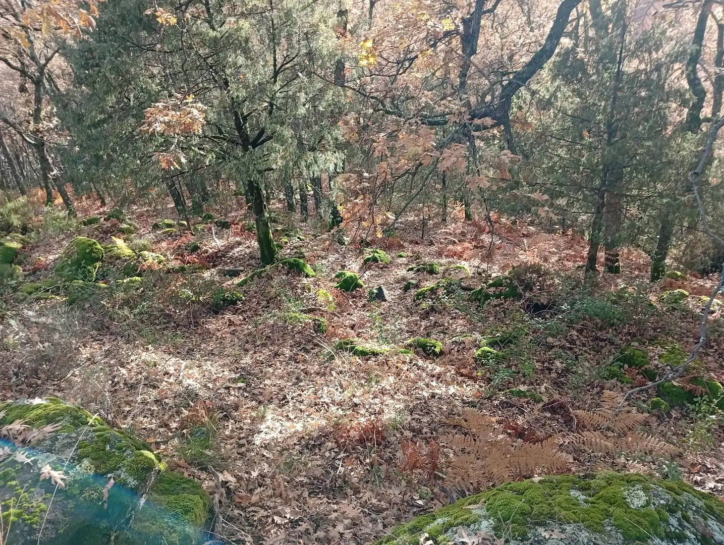 Terreni e lotti in vendita a Villanueva de la Vera, imagen 18