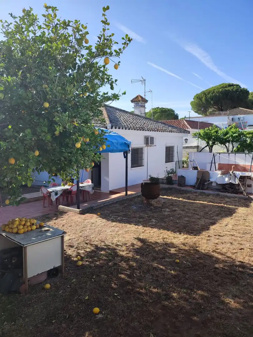 Casa rústica en venda a Arcos de la Frontera, imagen 12