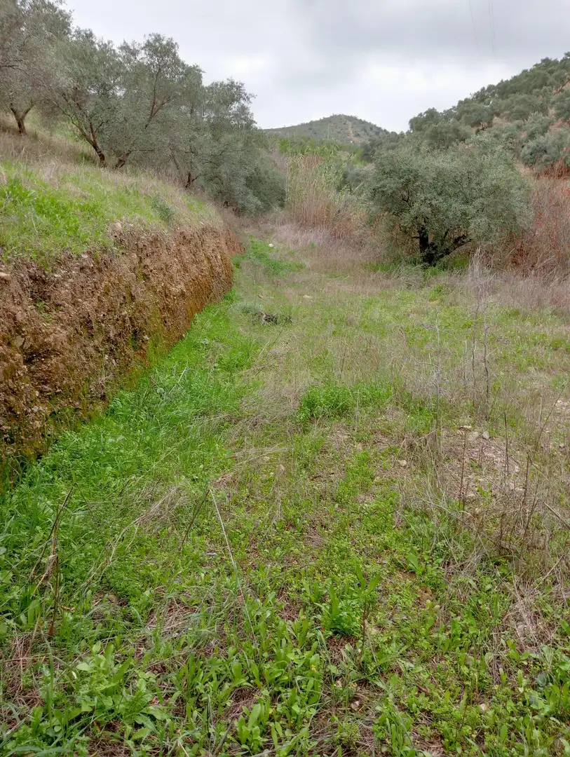 Casa o xalet en venda en Cártama amb Jardí privat, Traster i Piscina
