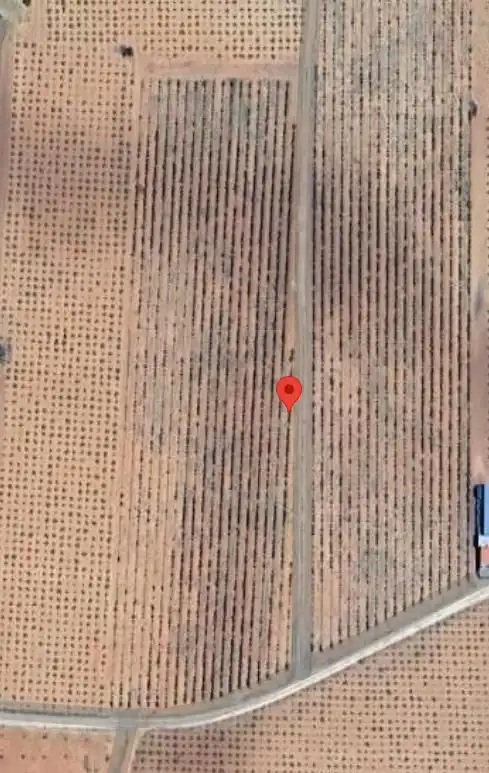 Casa rústica en venda a Valdepeñas, imagen 3