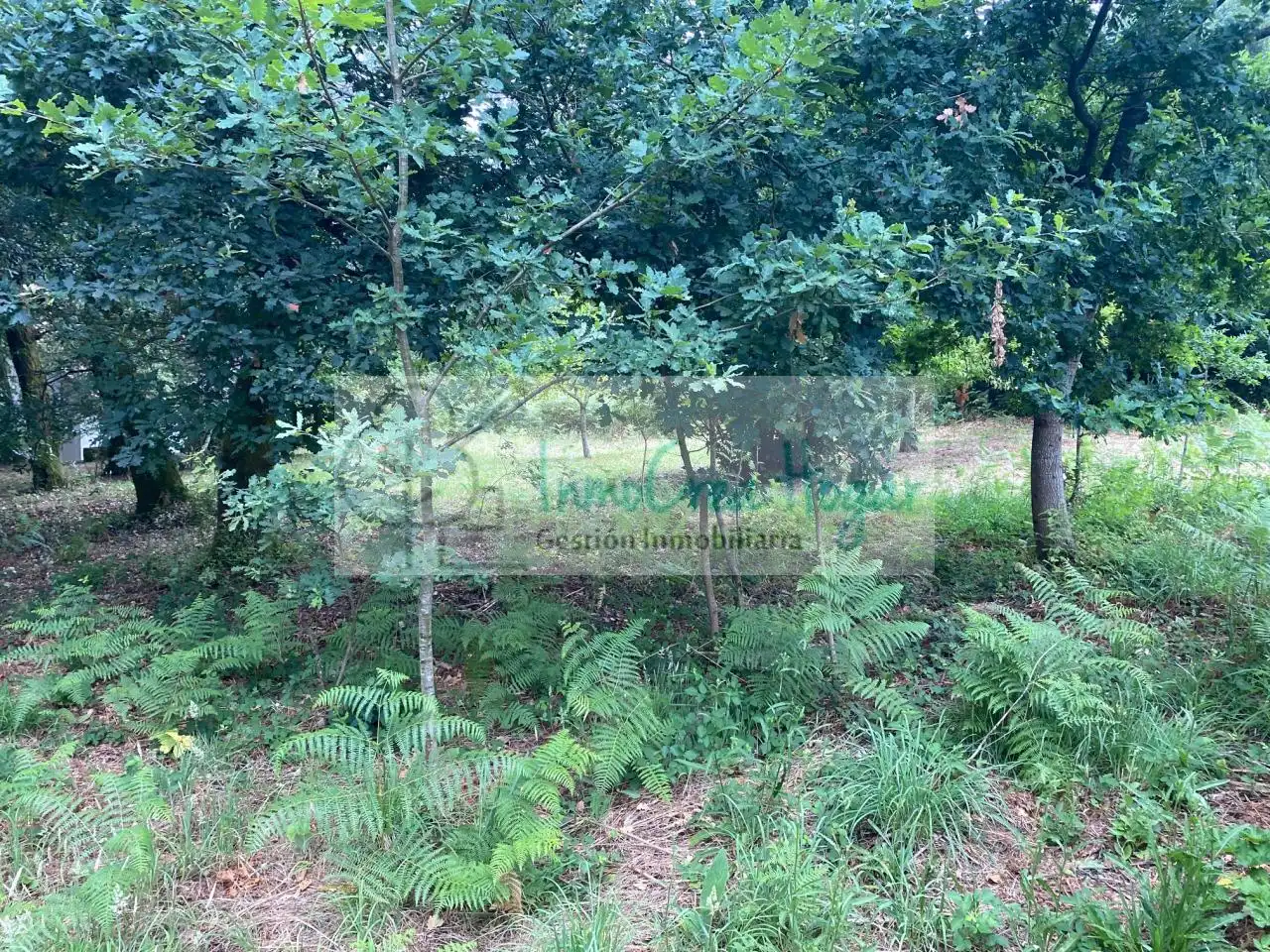 Grundstücke und Bauplätze zum Verkauf in Redondela, imagen 4