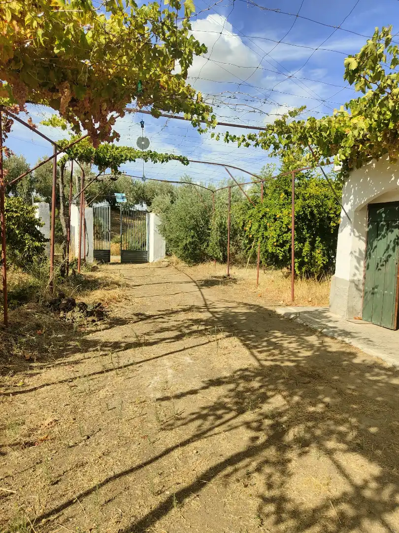 Finca rústica en venda en Cortes y Graena amb Jardí privat, Terrassa i Piscina