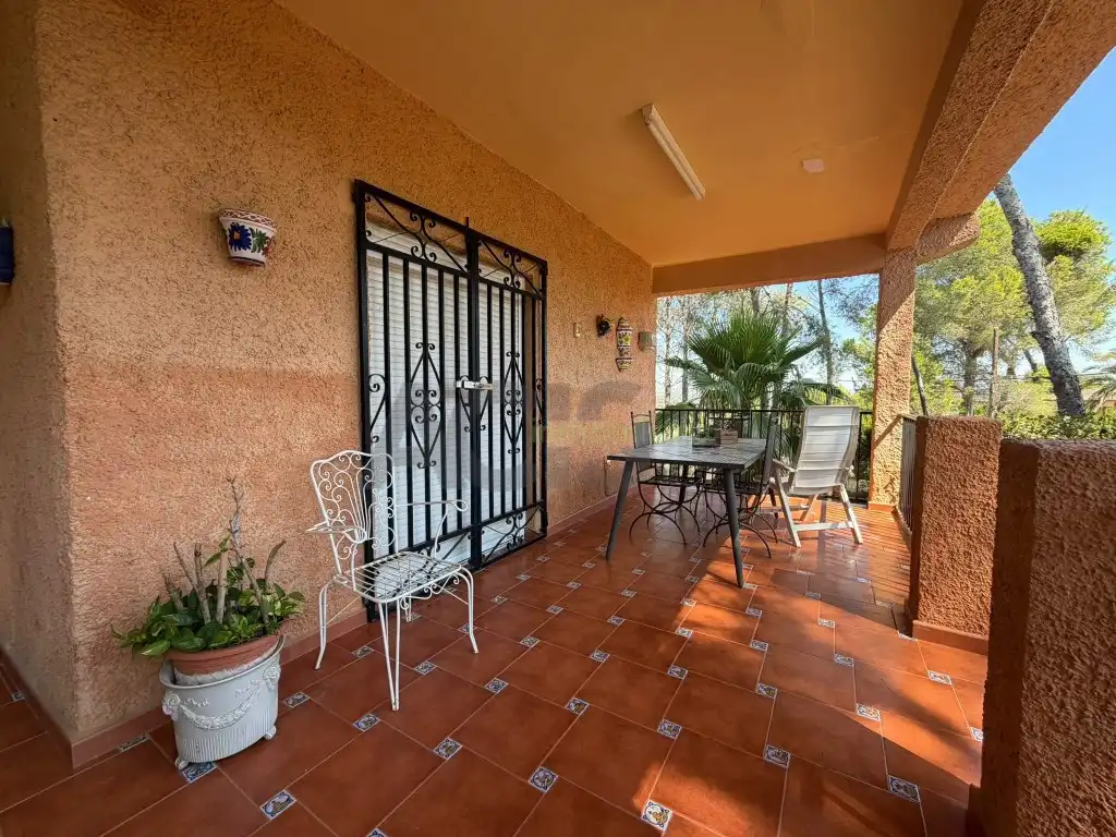 Terrassa de Casa o xalet en venda en Alberic amb Jardí privat, Terrassa i Piscina