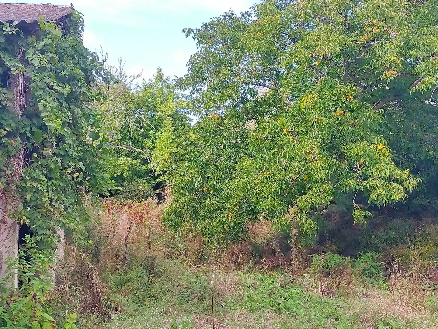 Casa rustica con giardino in vendita a Pravia, imagen 46