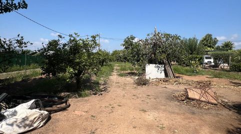Foto 5 de Finca rústica en venda a Camí de la Donació, 292a, El Grao, Castellón de la Plana / Castelló de la Plana