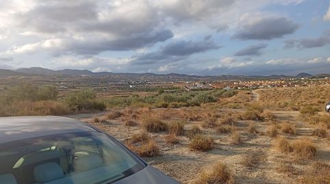 Terreno rustico, en Cañada Capitá, Los Gallardos., immagine 2