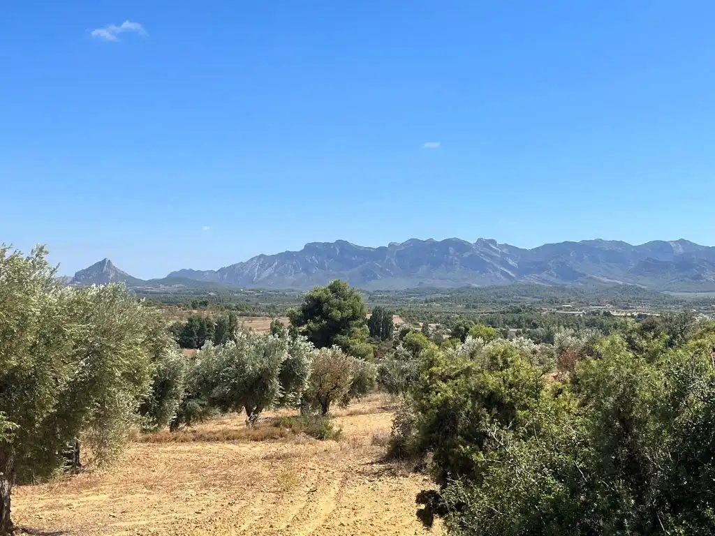 Terreni e lotti in vendita a Cretas, imagen 9