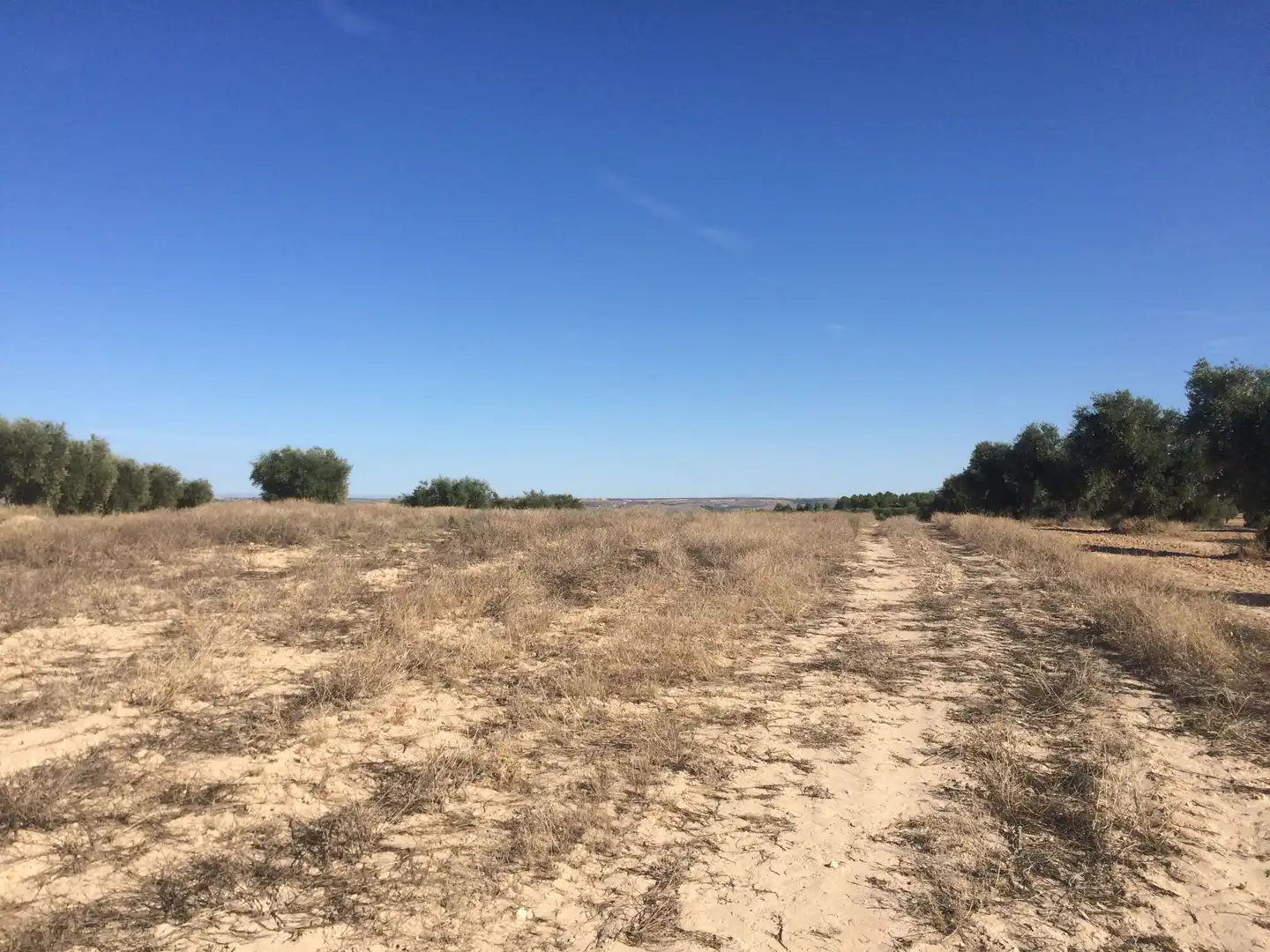 Terreno rustico in vendita a Chinchón, imagen 4