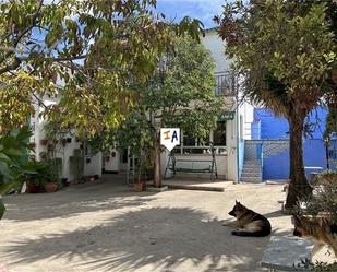 Exterior view of Single-family semi-detached for sale in Rute  with Air Conditioner, Storage room and Swimming Pool