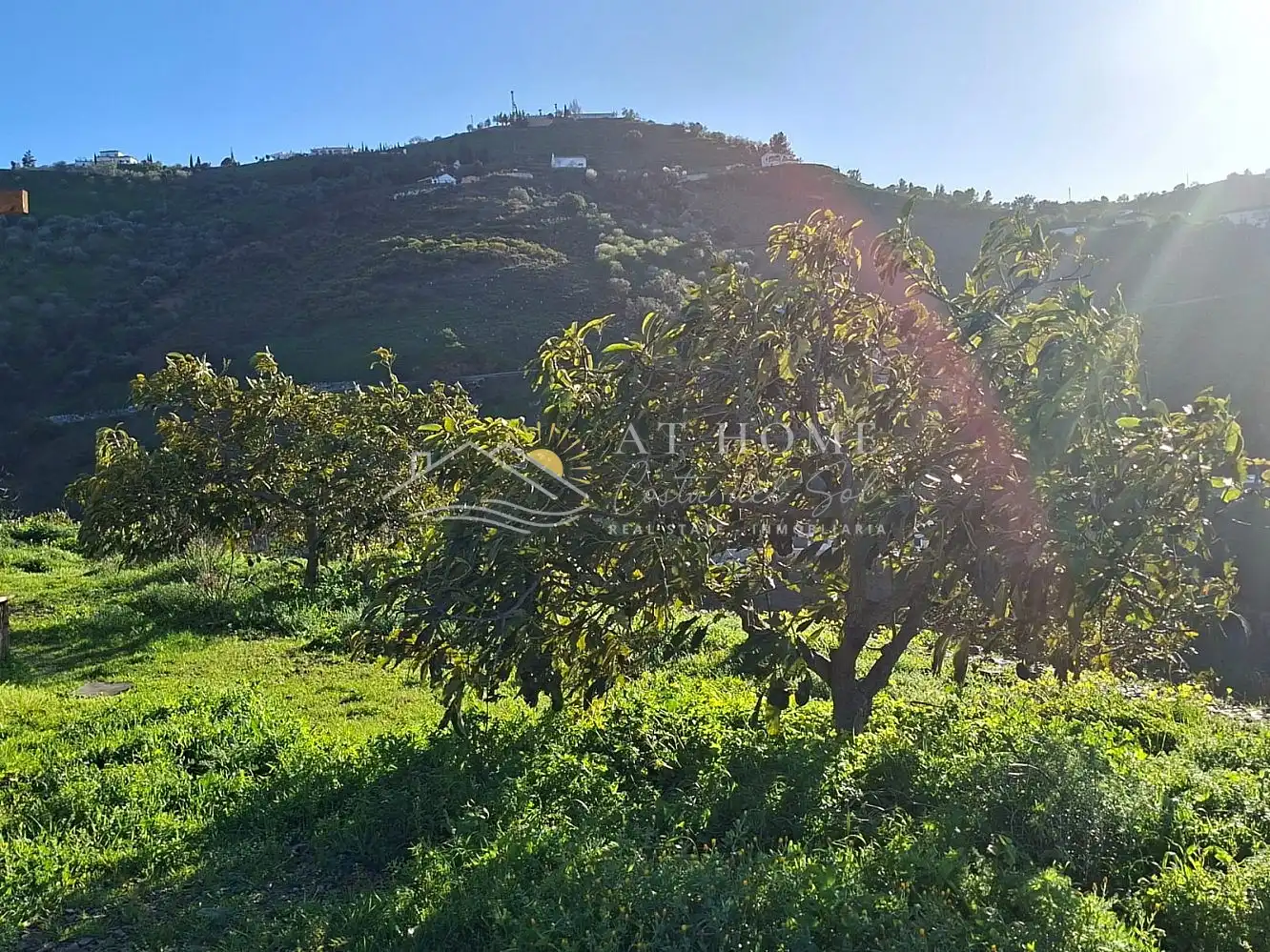 Casa o chalet en venta en Iznate con Terraza y Horno