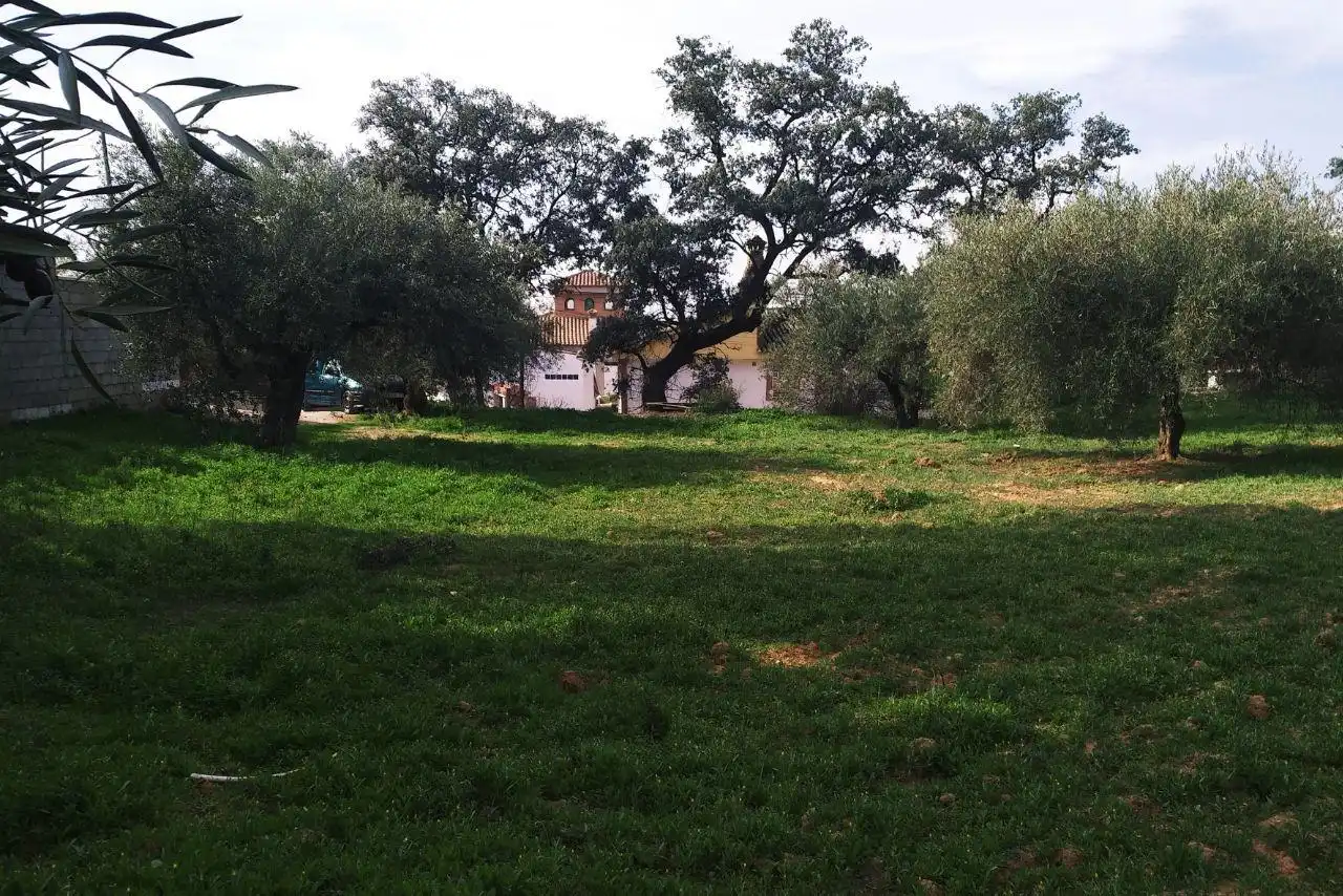 Terreny residencial en venda a Camino del Encinar, imagen 8