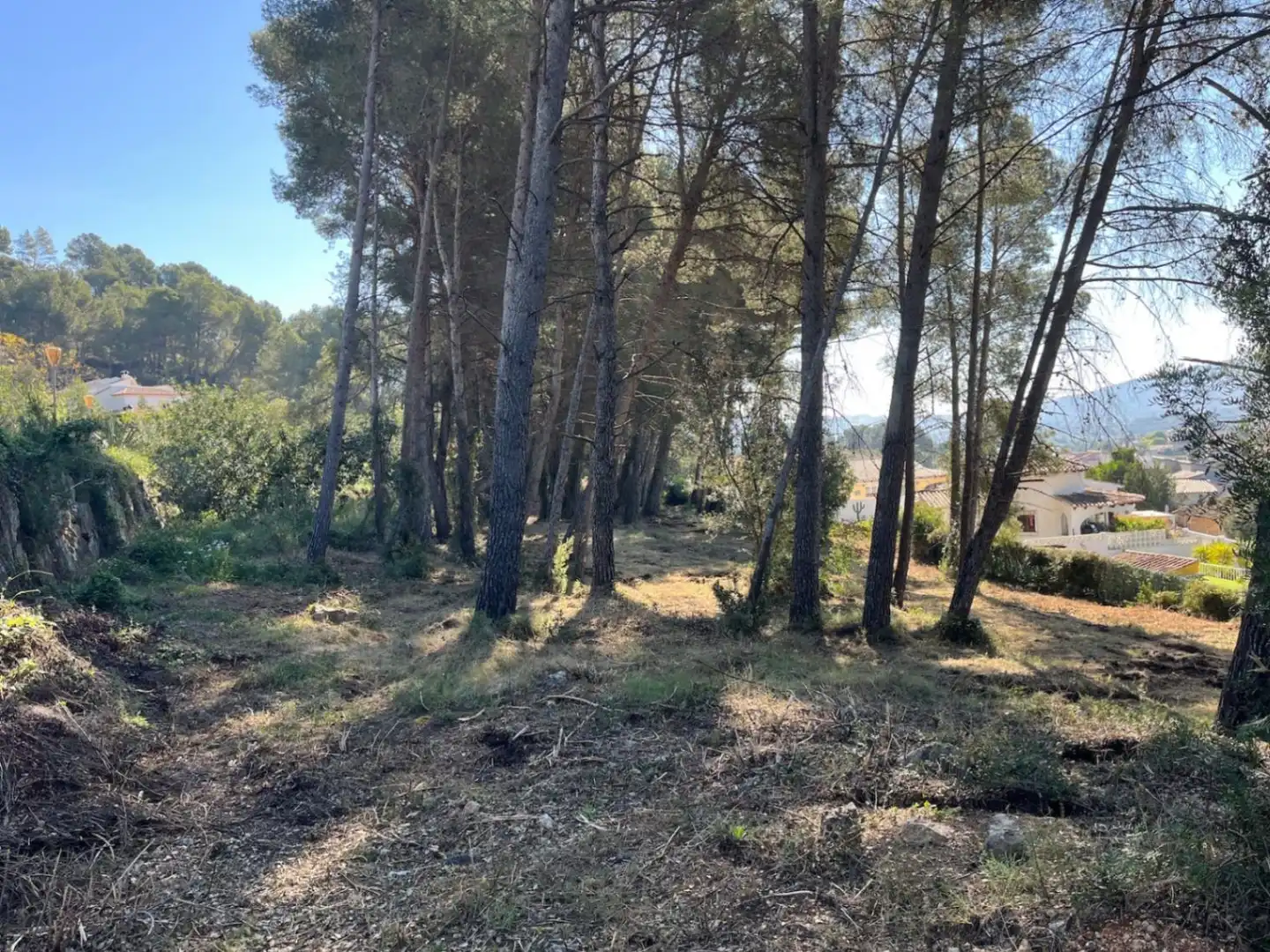 Terreny residencial en venda a Alcalalí, imagen 7