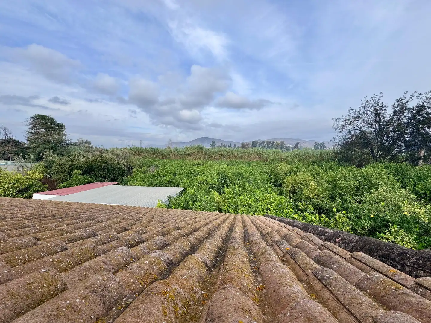 Vista exterior de Finca rústica en venta en Cártama con Aire acondicionado, Jardín privado y Piscina