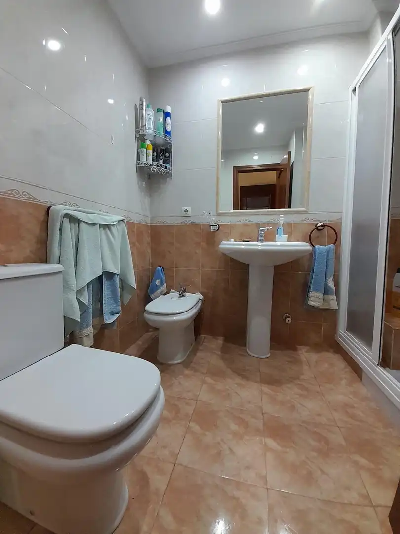 Bany de Casa o xalet en venda en Córdoba amb Aire condicionat, Terrassa i Balcó