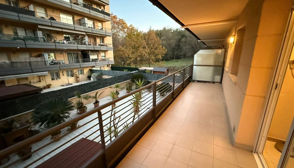 Foto 1 de Pis de lloguer a Riera Buganto , Palau, Girona