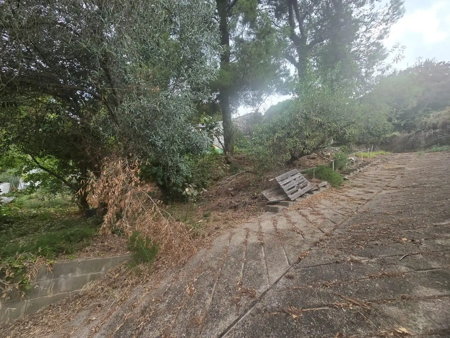 Wohnbaugrundstück zum Verkauf in Airesol, imagen 9