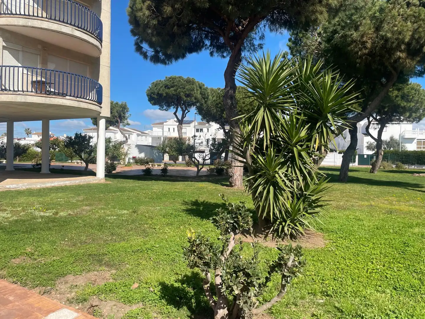 Jardí de Apartament en venda en El Portil amb Terrassa, Moblat i Piscina comunitària
