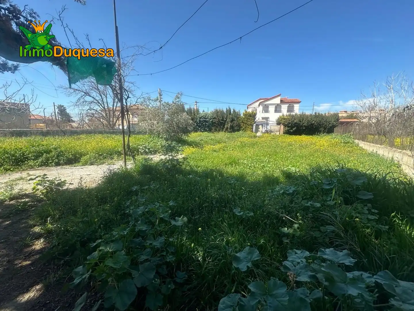Terreni e lotti in vendita a Ogíjares, imagen 6
