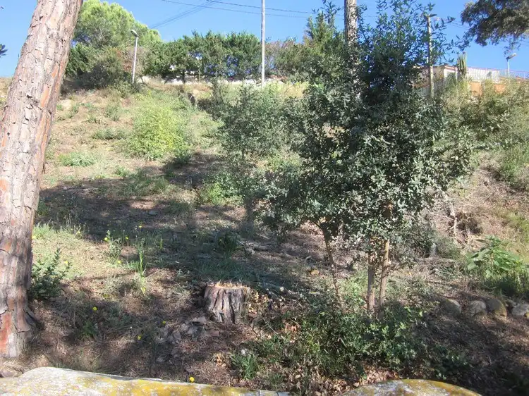 Terreno rústico en venta en Terrafortuna - Puig Ventós, imagen 4