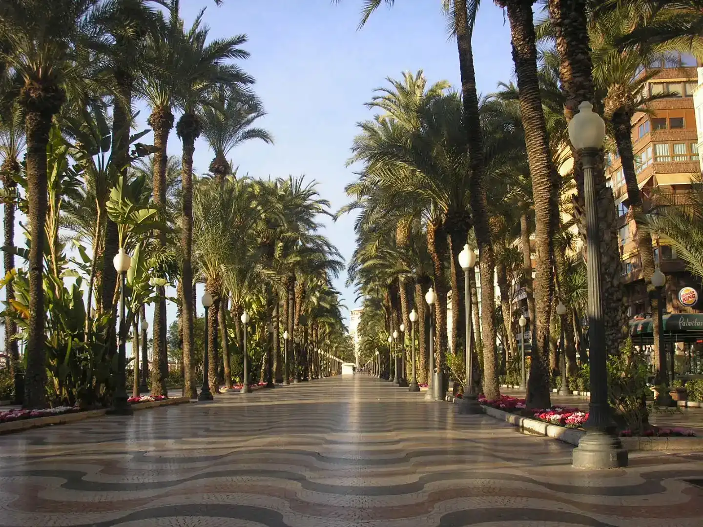 Vista exterior de Apartament en venda en Alicante / Alacant amb Aire condicionat, Piscina i Balcó