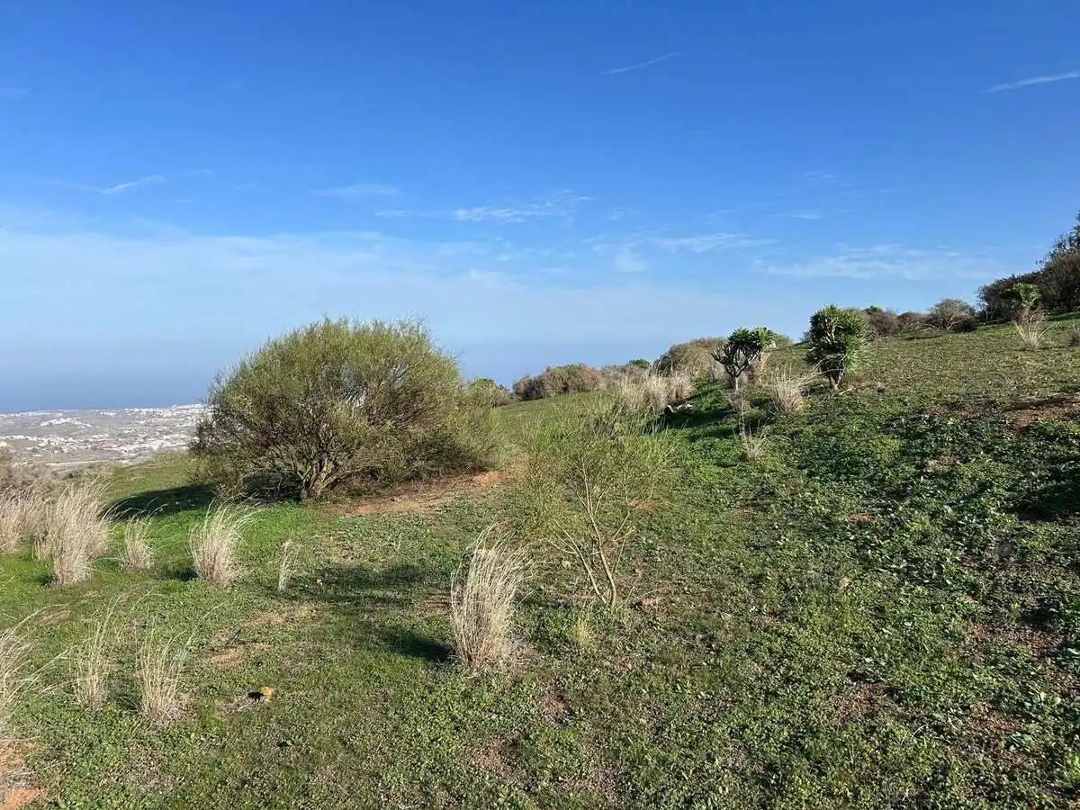 Rural land for sale in Caserones - La Higuera, imagen 10
