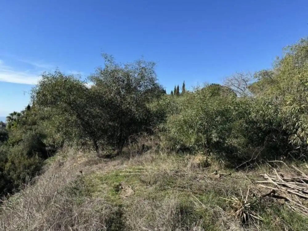 Maison avec piscine à vendre à Elviria - Cabopino, imagen 2