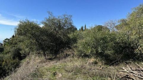 Foto 2 de Casa o xalet en venda a Elviria, Marbella