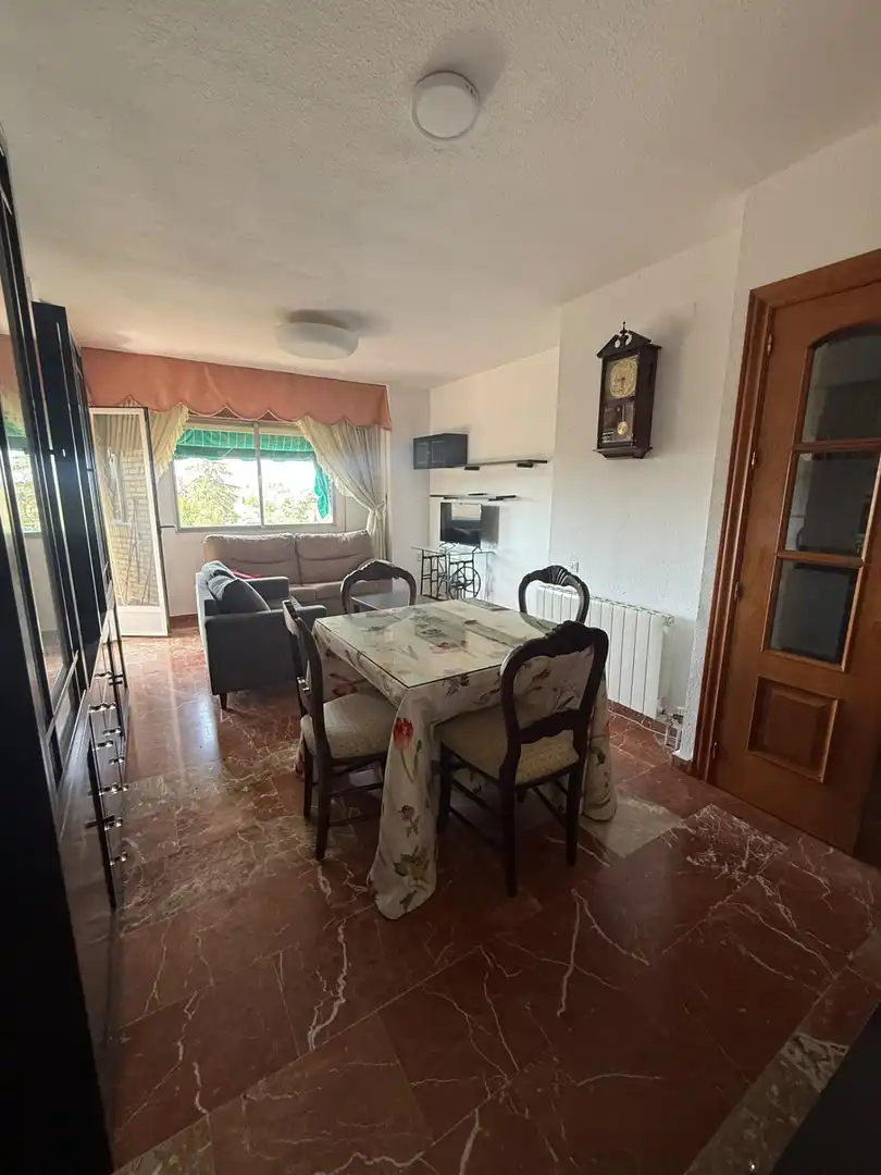 Comedor de Piso de alquiler en Granada con Terraza