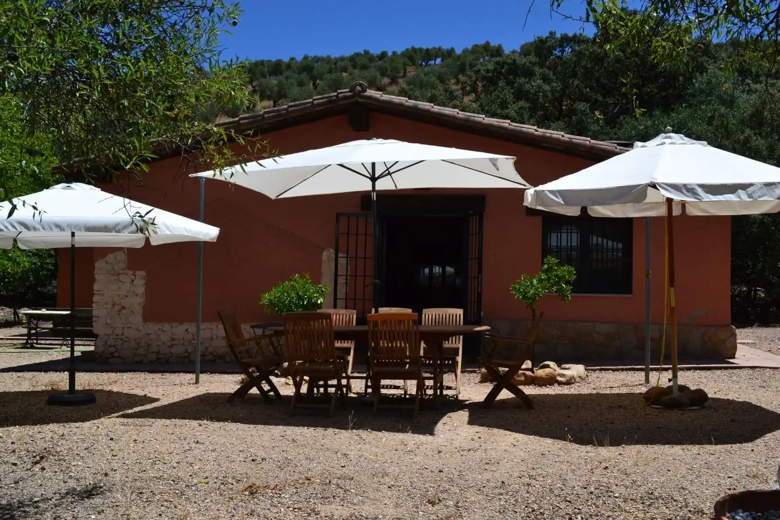 Finca rústica en venda a Belvís de la Jara