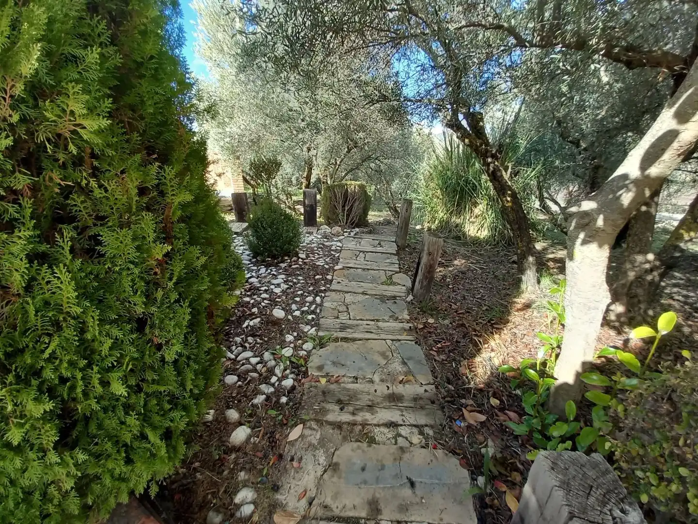 Finca rústica en venta en Arriate