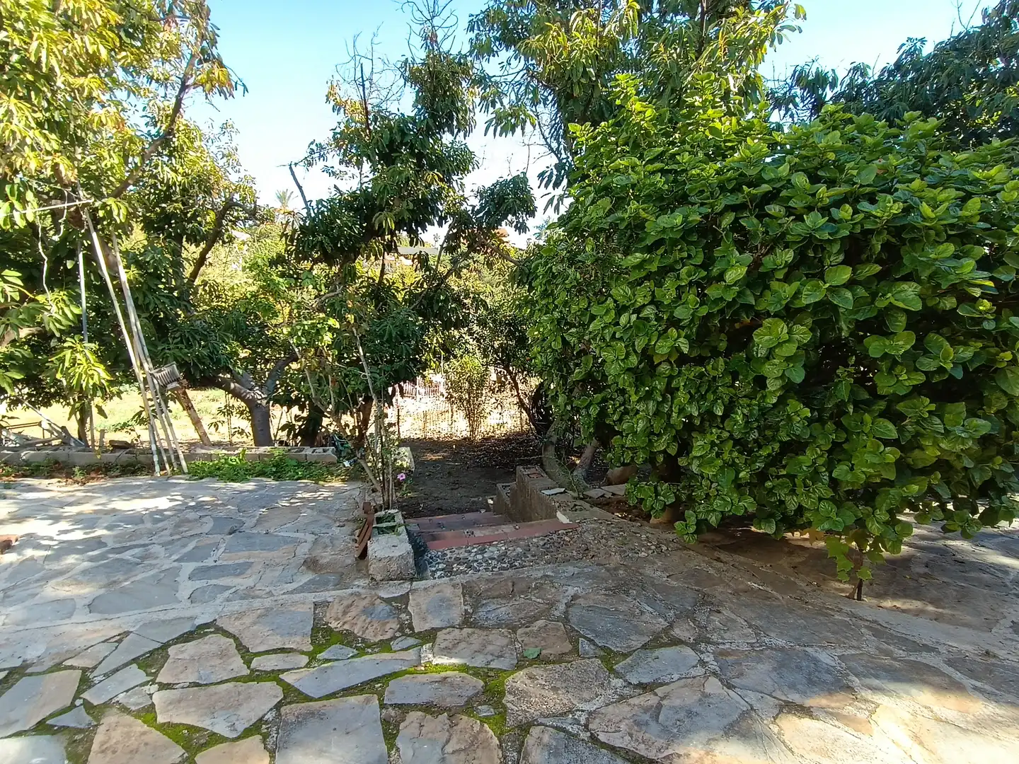Jardín de Finca rústica en venta en Estepona con Jardín privado, Terraza y Amueblado