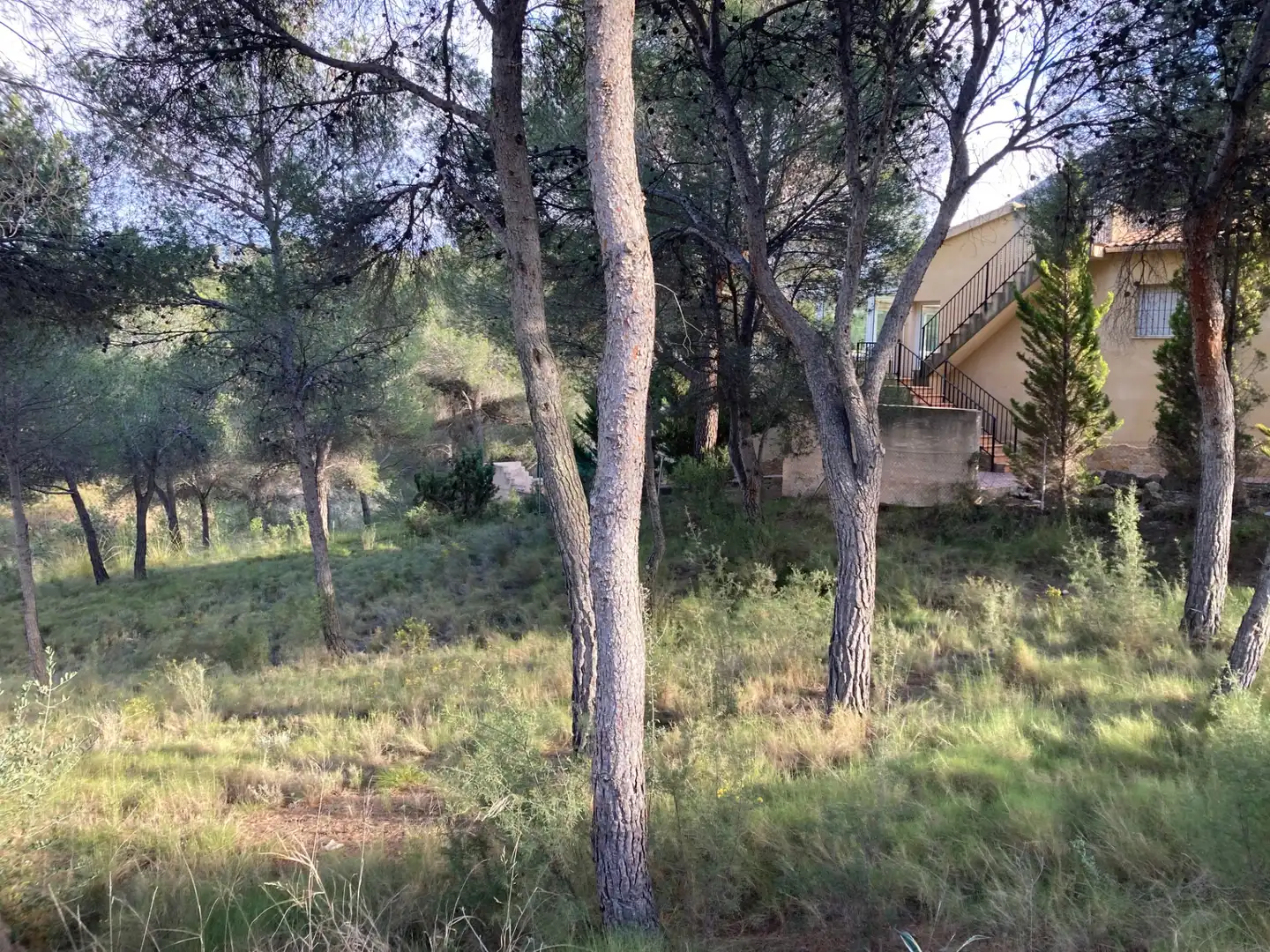 Terreny residencial en venda a Urbanización Pinares del Mecli Izqd, imagen 9