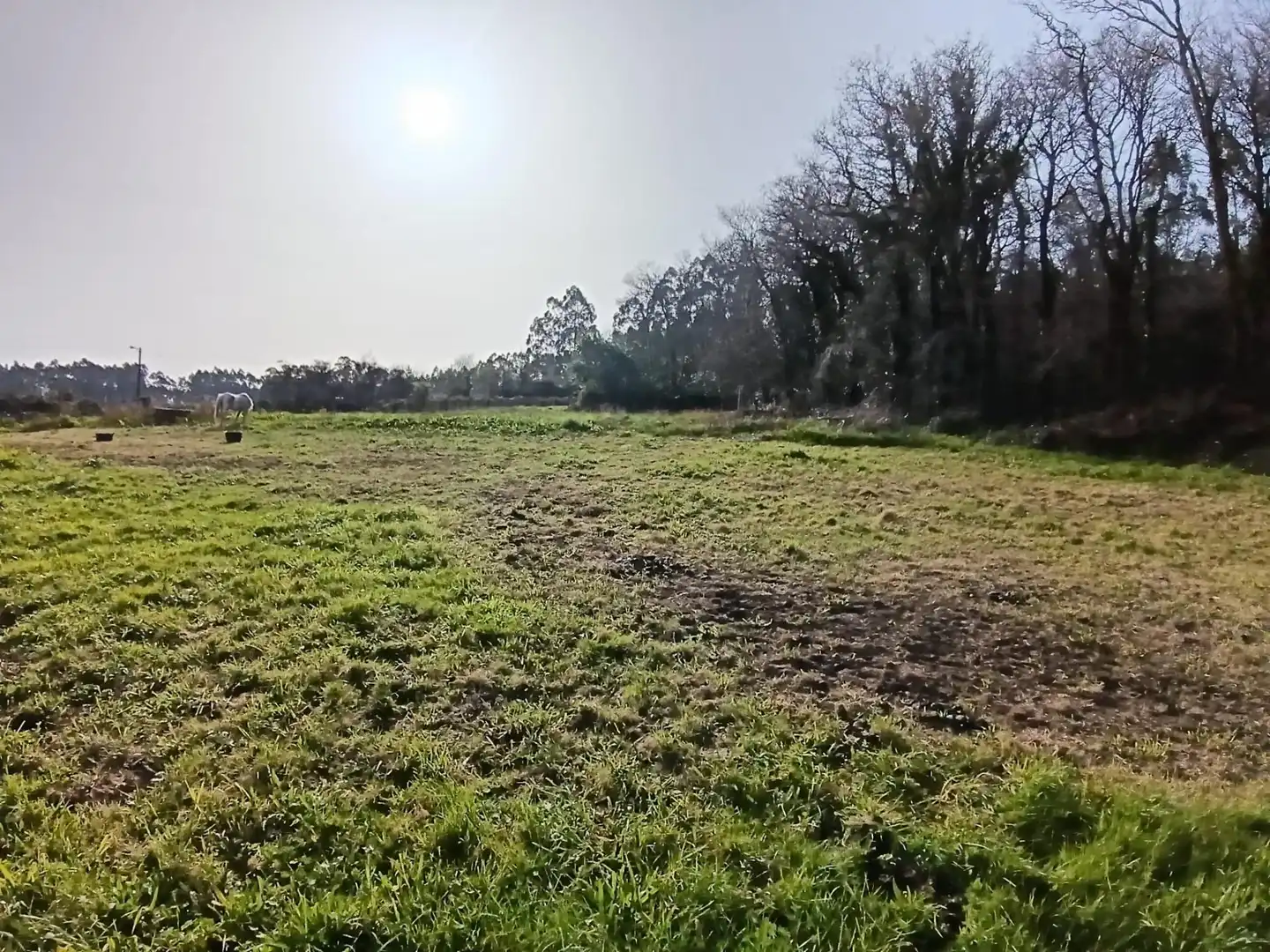 Country homes for sale in Meis