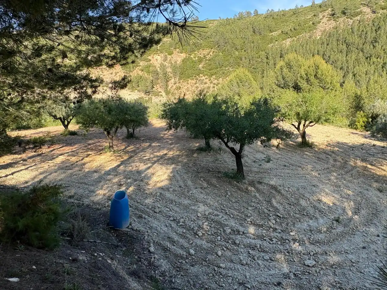 Finca rústica en venda en Buñol amb Jardí privat, Terrassa i Traster