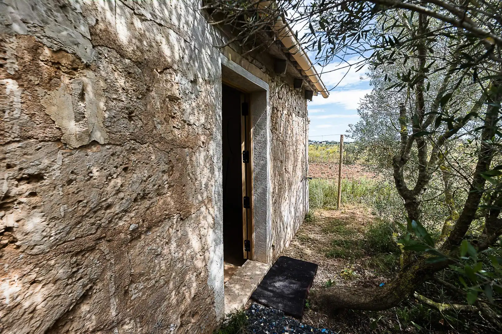 Terreny rústic en venda a Santa María del Camí, imagen 6