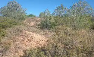 Finca rústica en venta en Jérica