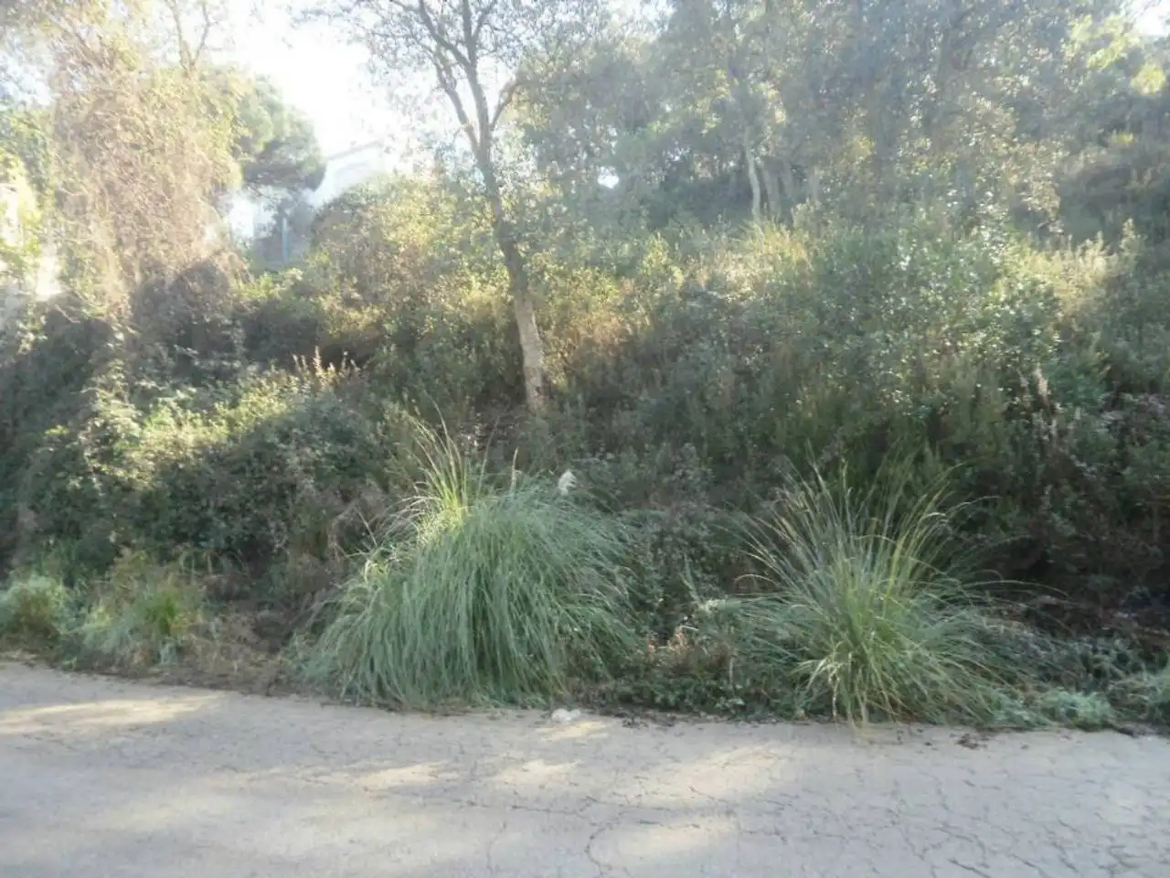 Terreny residencial en venda a Montbarbat