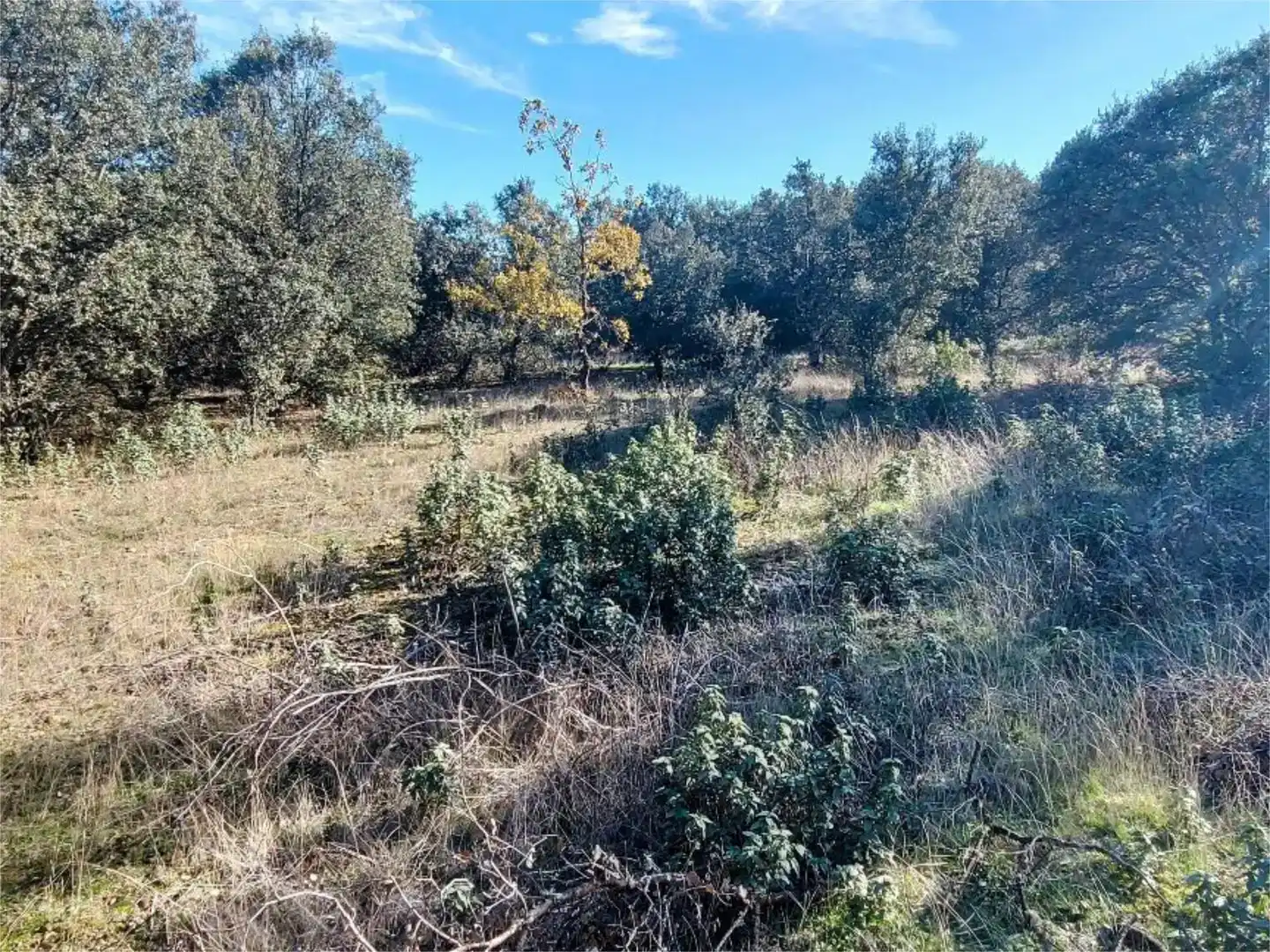 Residencial en venta en Fresno de Cantespino