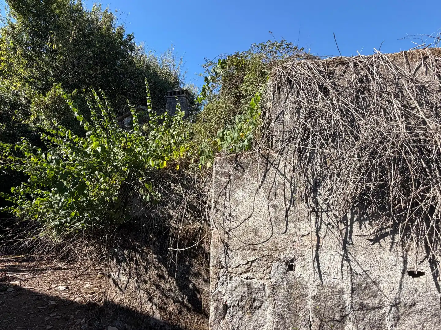Casa rústica con jardín en venta en PO-254, imagen 36