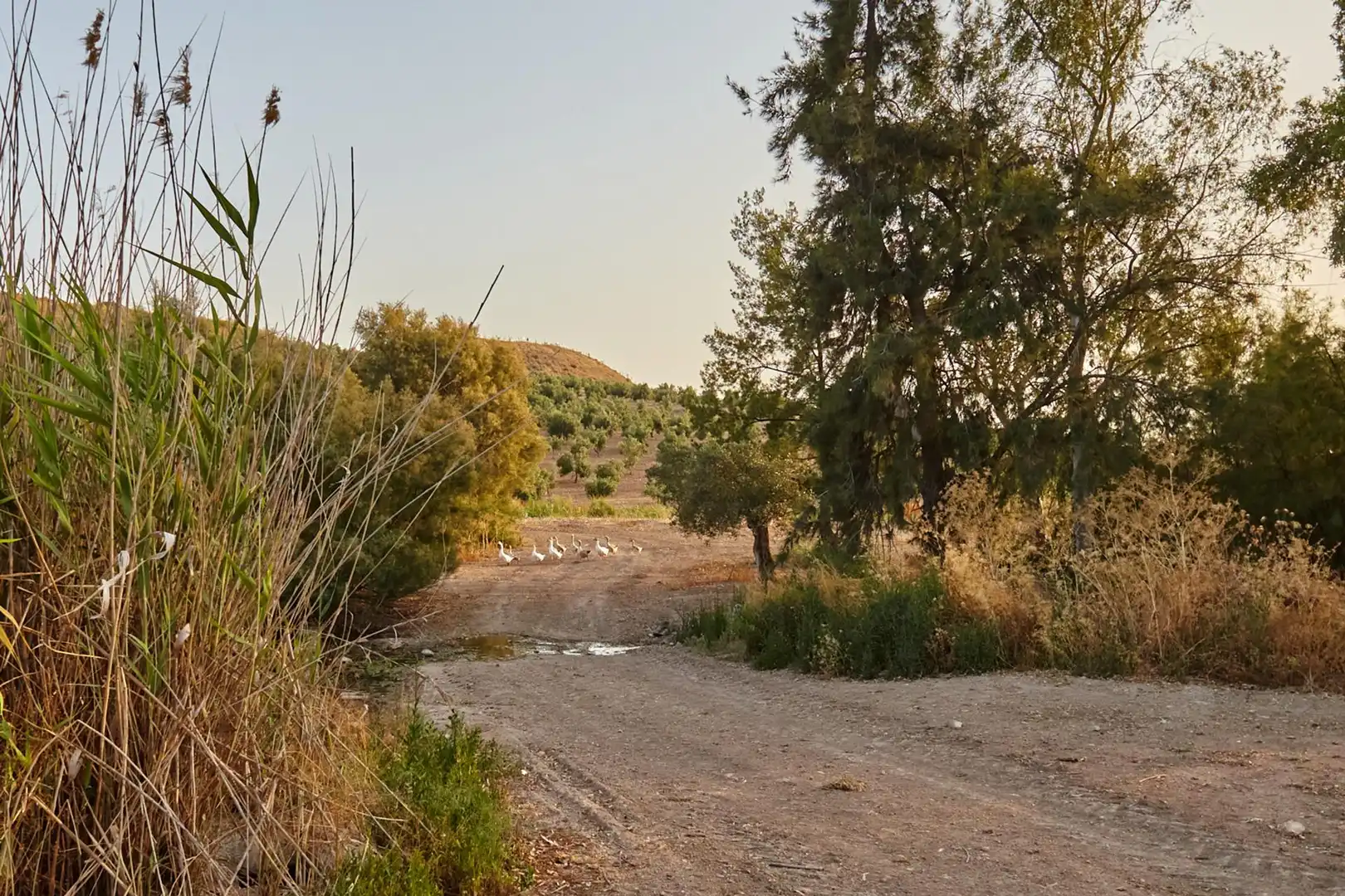 Vista exterior de Finca rústica en venta en Jaén con Aire acondicionado, Jardín privado y Terraza