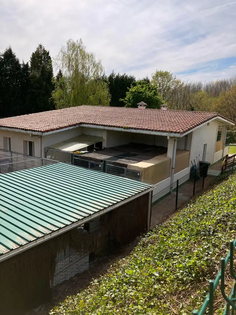 Exterior view of Houses for sale in Abegondo