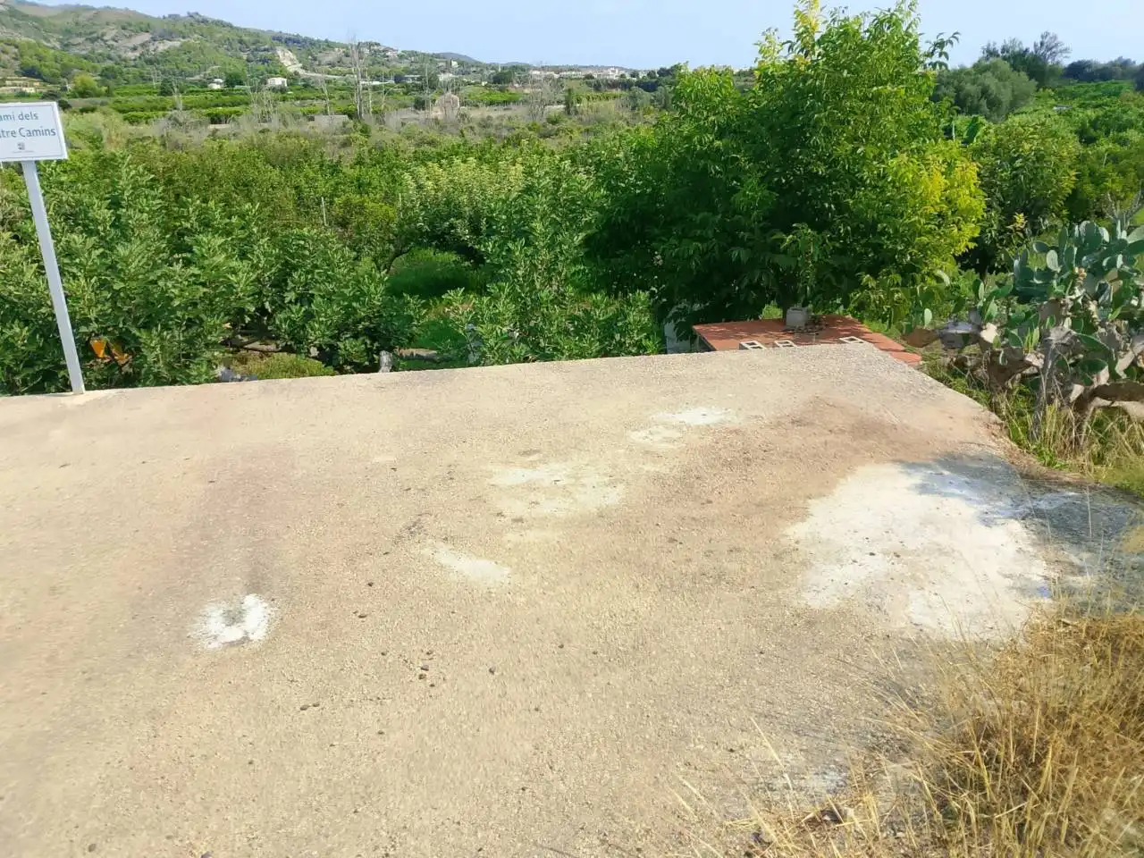 Rural land for sale in Calle Partida Alfas, imagen 8