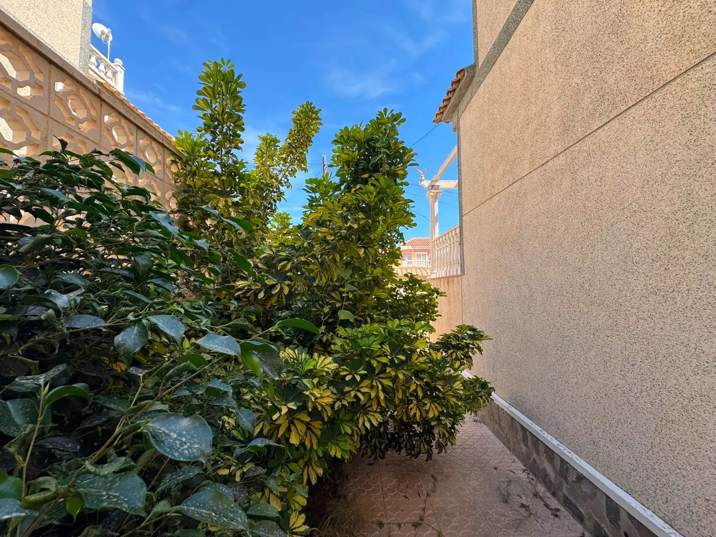 Maison avec terrasse à vendre à Calle Marbella, imagen 40