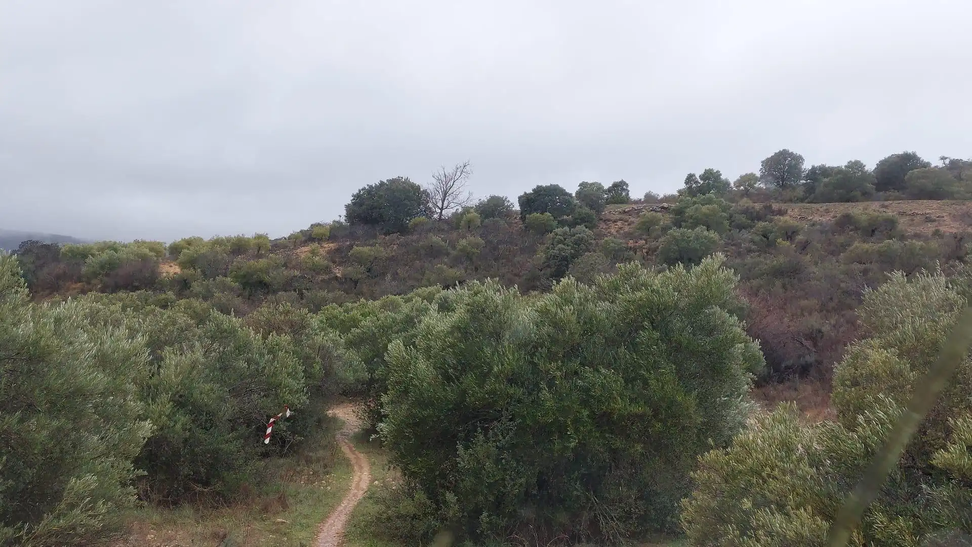 Grundstücke zur Miete in Loranca de Tajuña