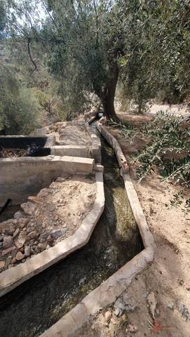 Terreno residencial en Venta en El Pinar