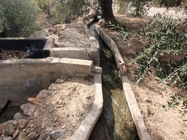 Terrenys i solars en venda a El Pinar