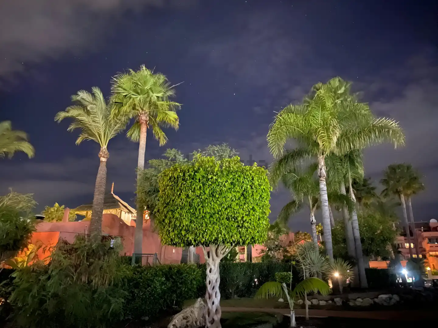 Apartamento con piscina en venta en Selwo, imagen 39